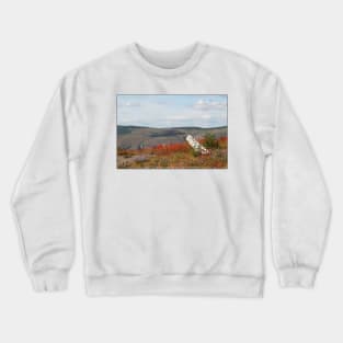 dead tree & paintbrush wildflowers on Johnston's Ridge Crewneck Sweatshirt